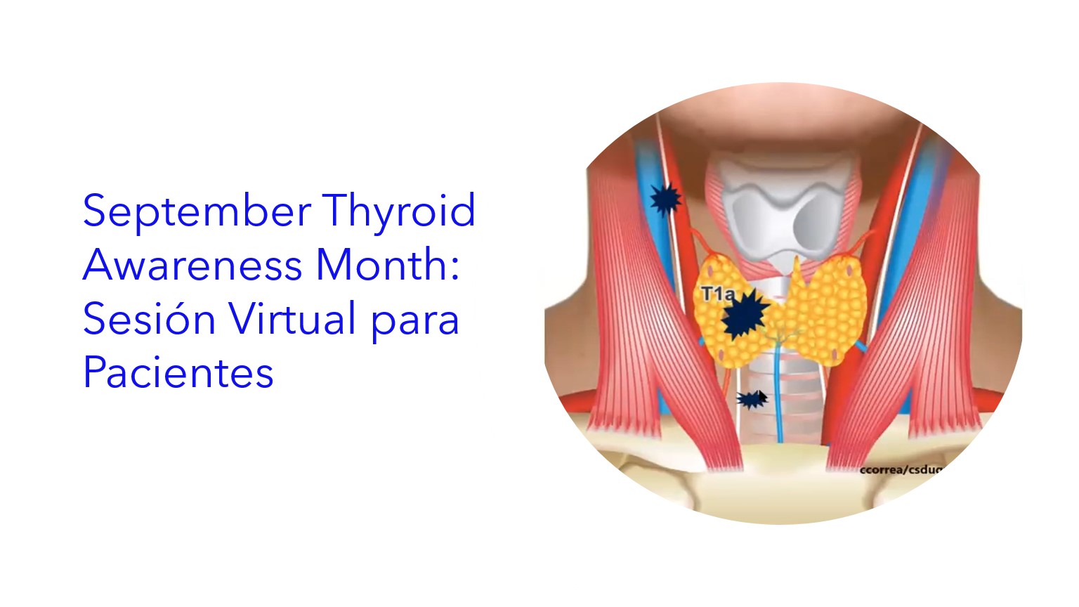 September Thyroid Awareness Month: Sesión Virtual para Pacientes . | Mês de Conscientização da Tireóide em Setembro: Sessão Virtual com Pacientes .